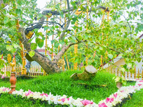 Anuradhapura Day Tours in Sri Lanka