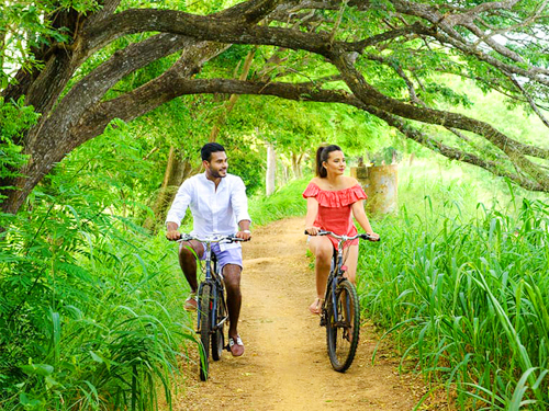 Sri Lanka Cycle Safari