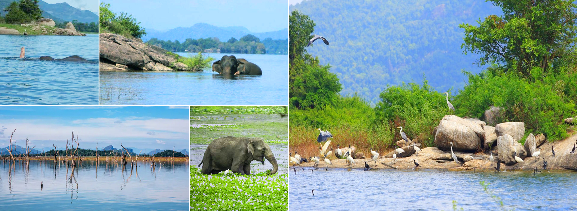 Gal Oya National Park in Sri Lanka