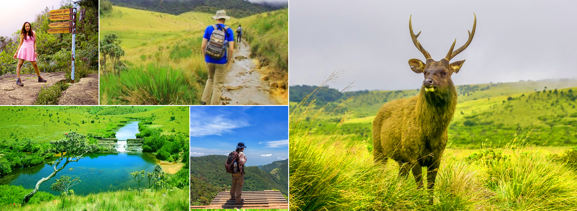 Horton Plains National Park in Sri Lanka