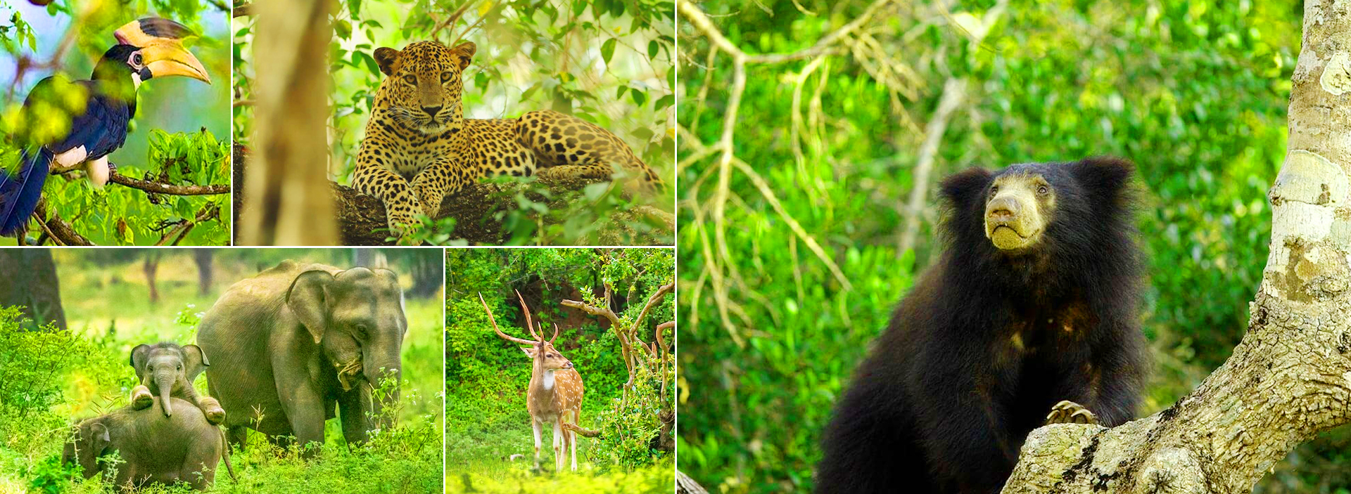 Nature Park in Sri Lanka