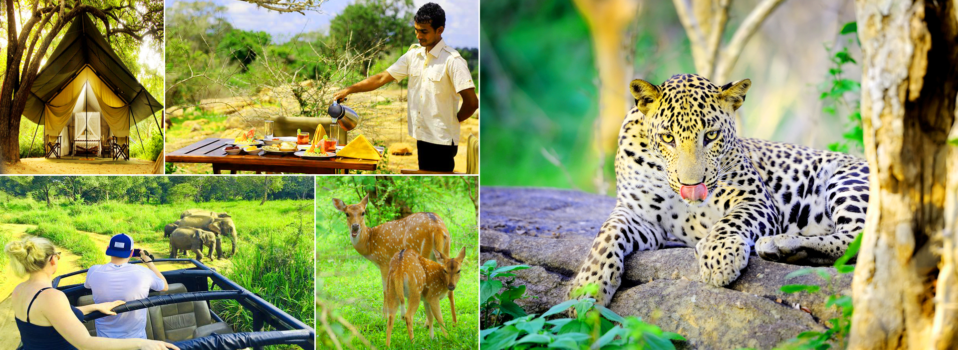 Yala National Park in Sri Lanka