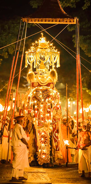 Kandy Esala Perahera Seat Reservations 2026