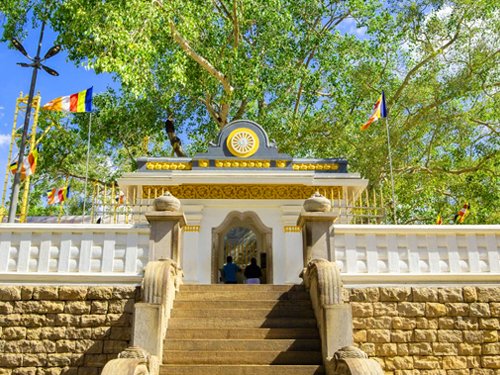 Anuradhapura Day Tour from Anuradhapura