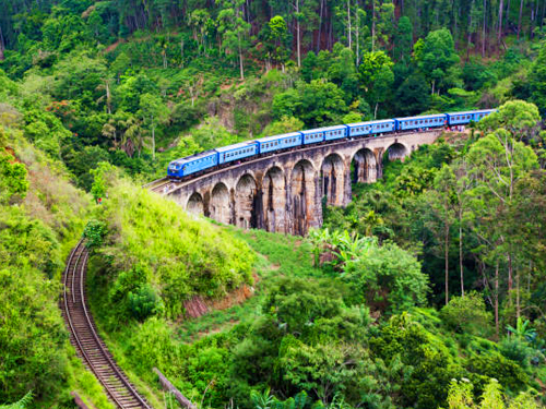 Ella Day Tour From Tangalle