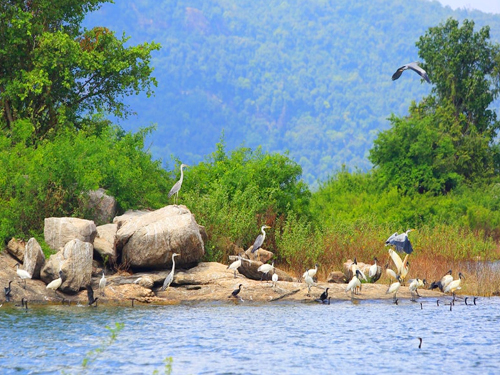 Gal Oya National Park Boat Safari Tour From Passikudah