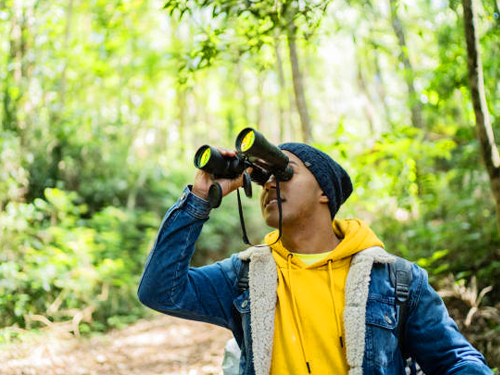 Kalamatiya Bird Watching Tour From Tangalle