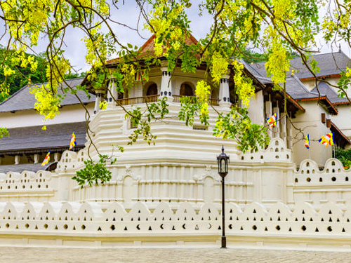 Kandy Day Tour From Sigiriya