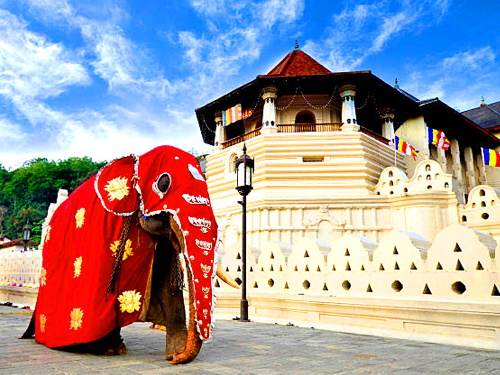 Kandy Day Tour From Tangalle