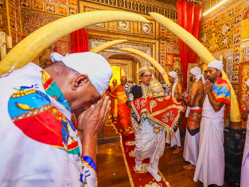 Kandy Esala Perahera Experience Tour From Sigiriya