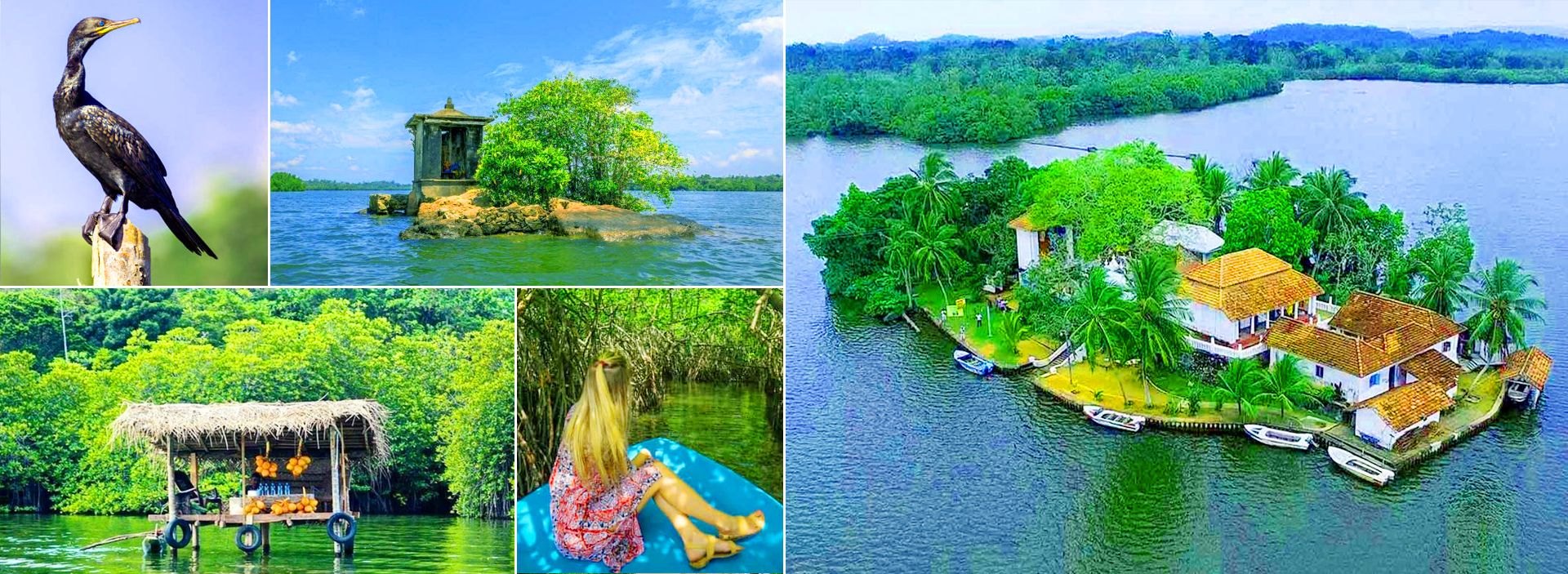 Madu River Boat Ride & Kosgoda Tour From Bentota