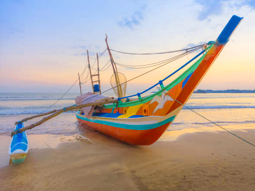 Negombo Day Tour From Colombo