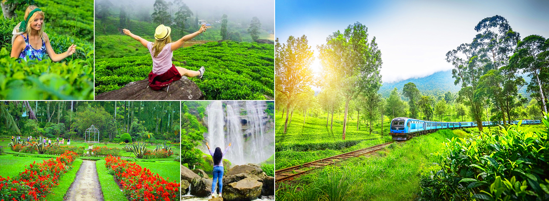 Nuwara Eliya Day Tour From Bentota