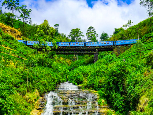 Nuwara Eliya Day Tour From Hikkaduwa