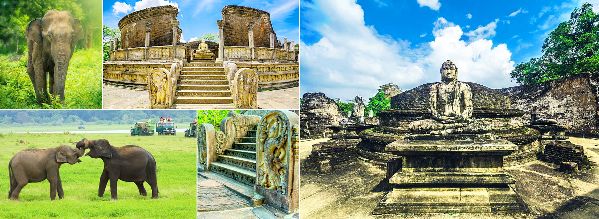 Polonnaruwa & Minneriya Tour From Kandy