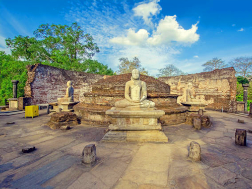 Polonnaruwa & Minneriya Tour From Sigiriya