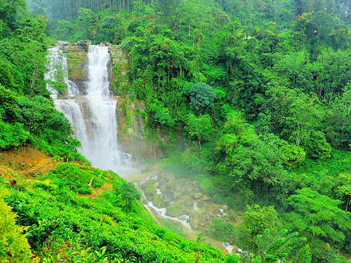 Ramboda Falls & Tea Experience Tour From Nuwara Eliya