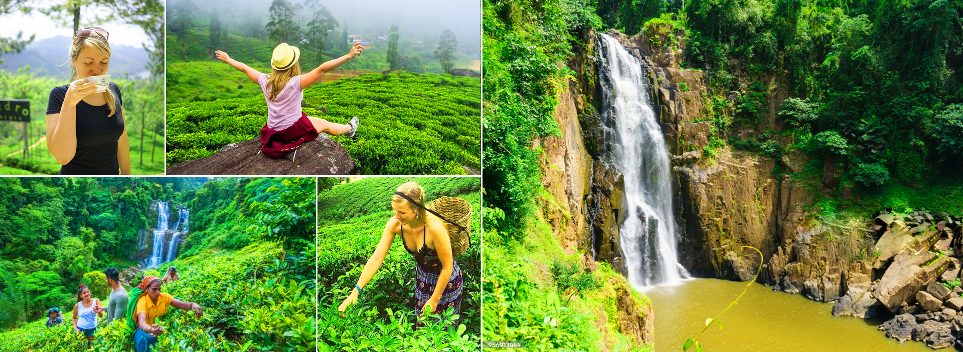 Ramboda Falls & Tea Experience Tour From Nuwara Eliya