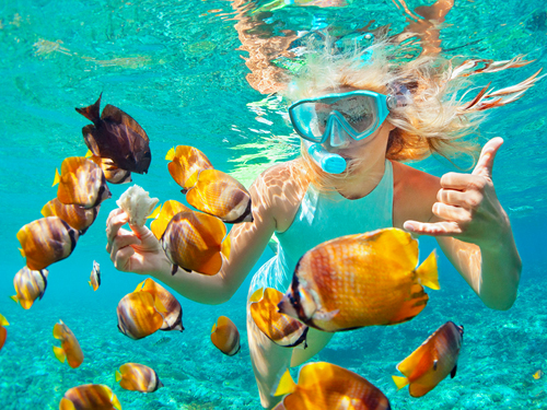 Scuba Diving Experience With Padi Instructor Tour From Trincomalee