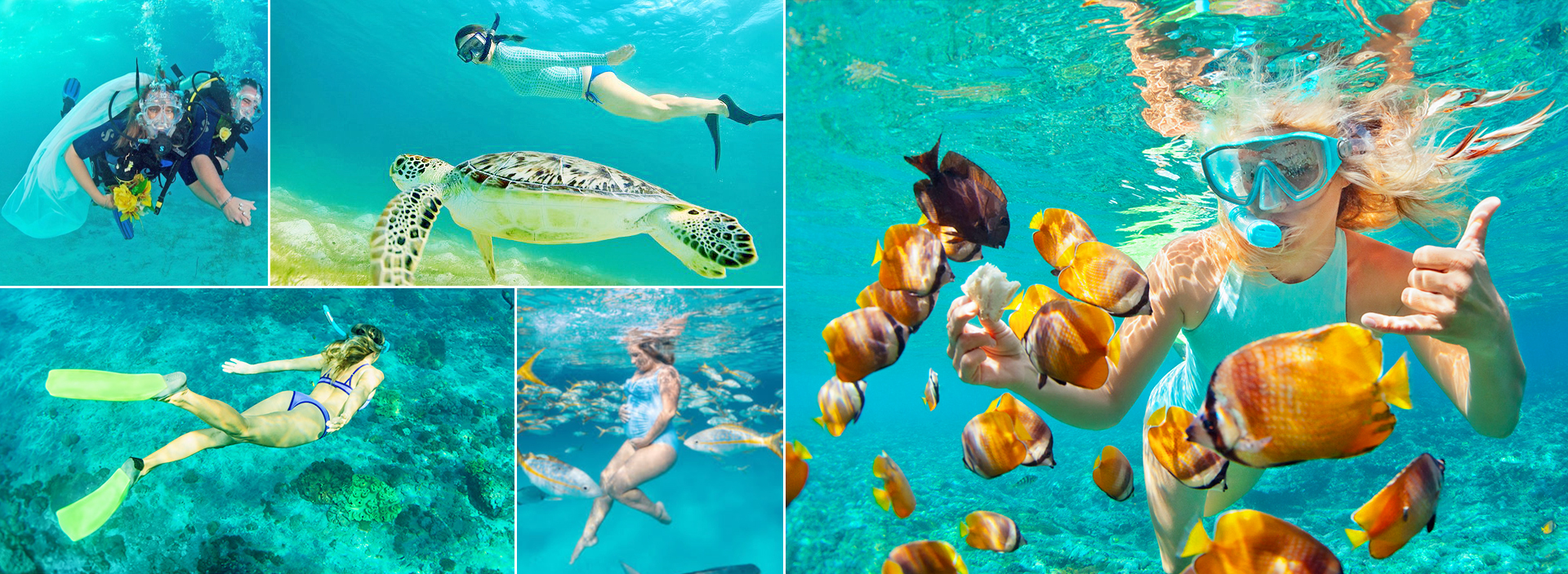 Scuba Diving Experience With Padi Instructor Tour From Trincomalee