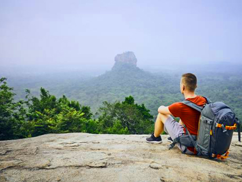 Sigiriya & Dambulla Tour From Kandy