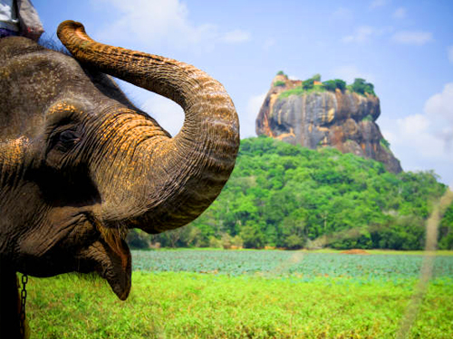 Sigiriya Village Tour From Sigiriya