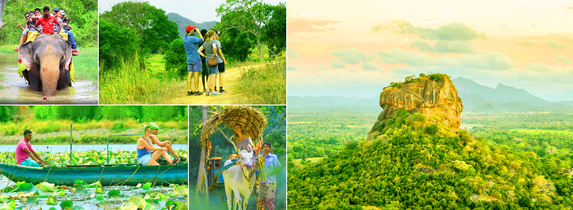 Sigiriya Village Tour From Sigiriya