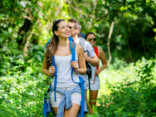 Sinharaja Trekking Tour From Waligama