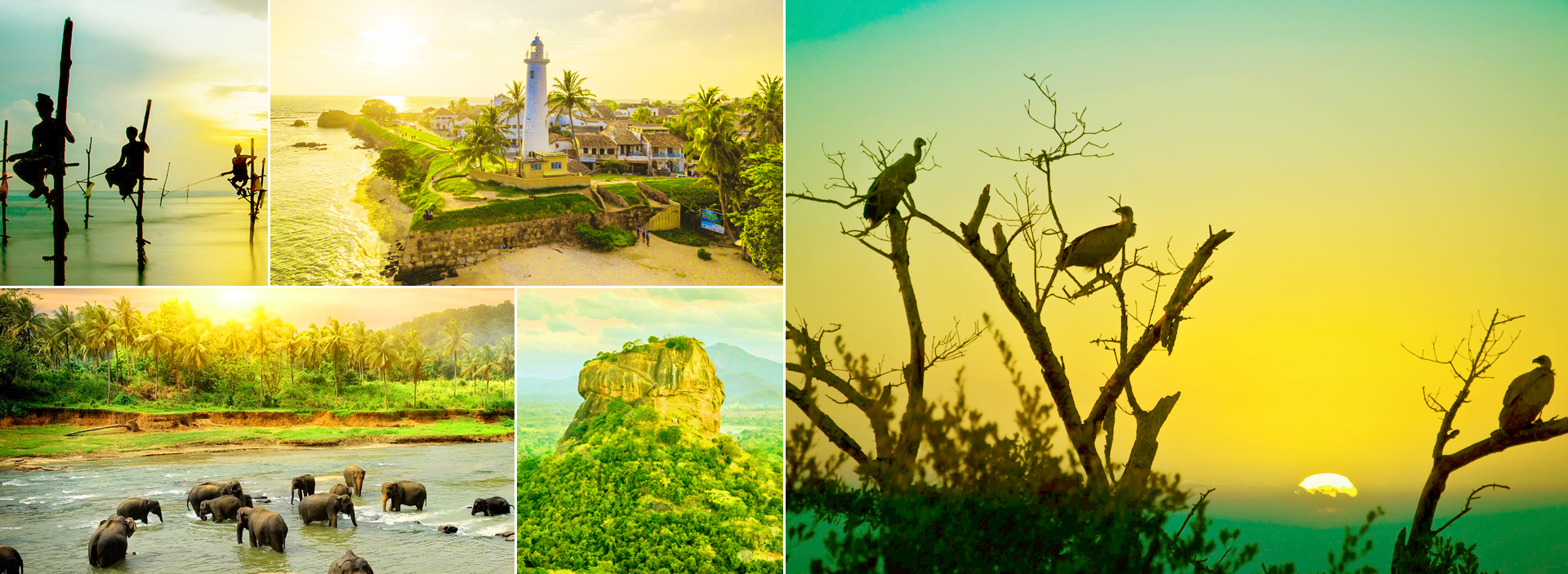 Natur- und Tierabenteuer in Sri Lanka