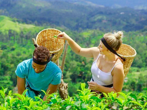Maravillas culturales paisajísticas y de vida silvestre de Sri Lanka