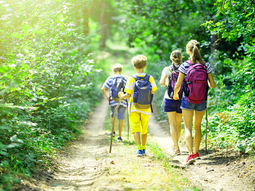 Explorador de Sigiriya con cultura y vida silvestre