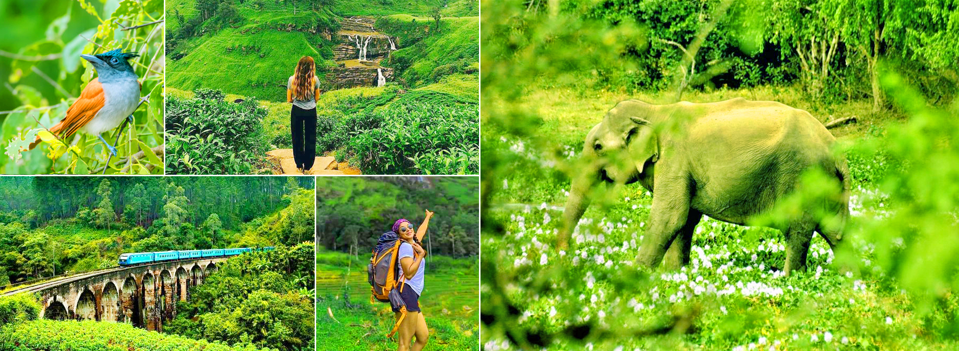 Qué ver en Sri Lanka