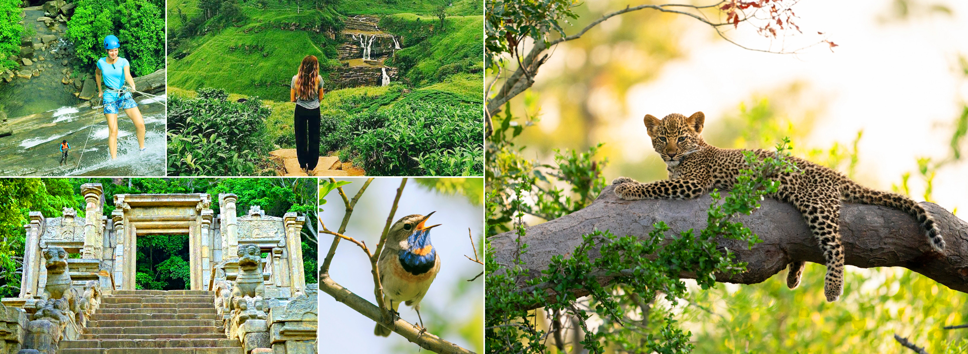 Viajar en Sri Lanka