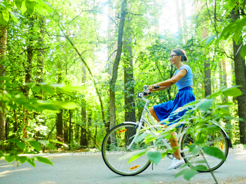 10 Days Cycling Tour In Sri Lanka