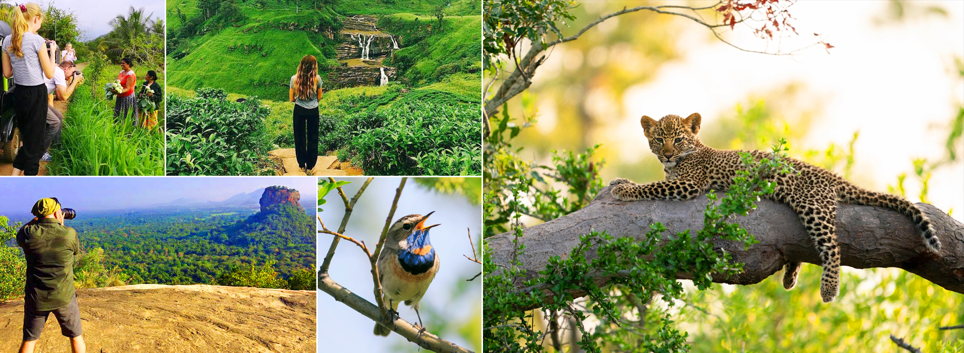 8 Days Sri Lanka Local Village & Wildlife Expedition Tour