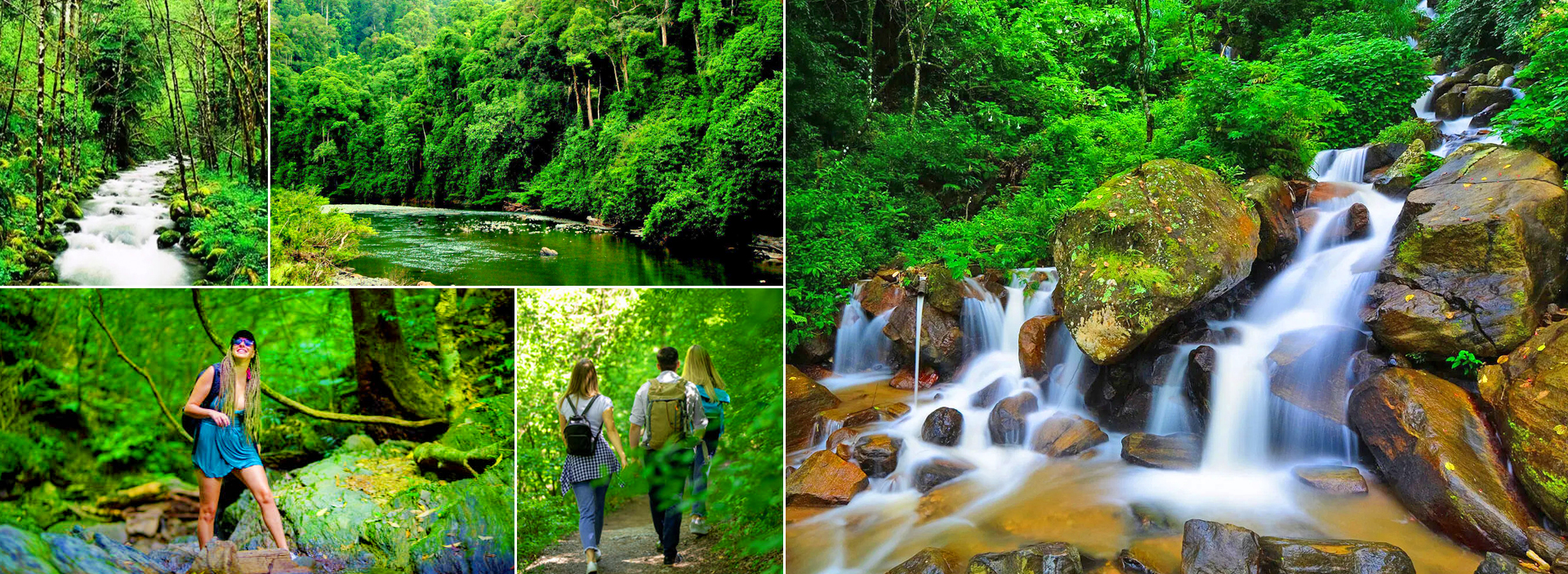 Galle Port Sinharaja Rainforest Trekking Tour in sri lanka