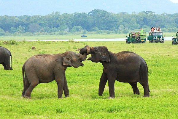 Maravillas culturales paisajísticas y de vida silvestre de Sri Lanka