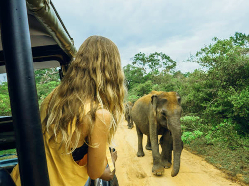 Sri Lanka Luxury & Safari Adventure Tour