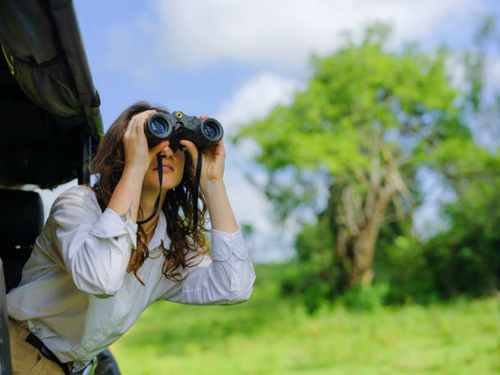 Sri Lanka Wild Trails and Coastal Adventures