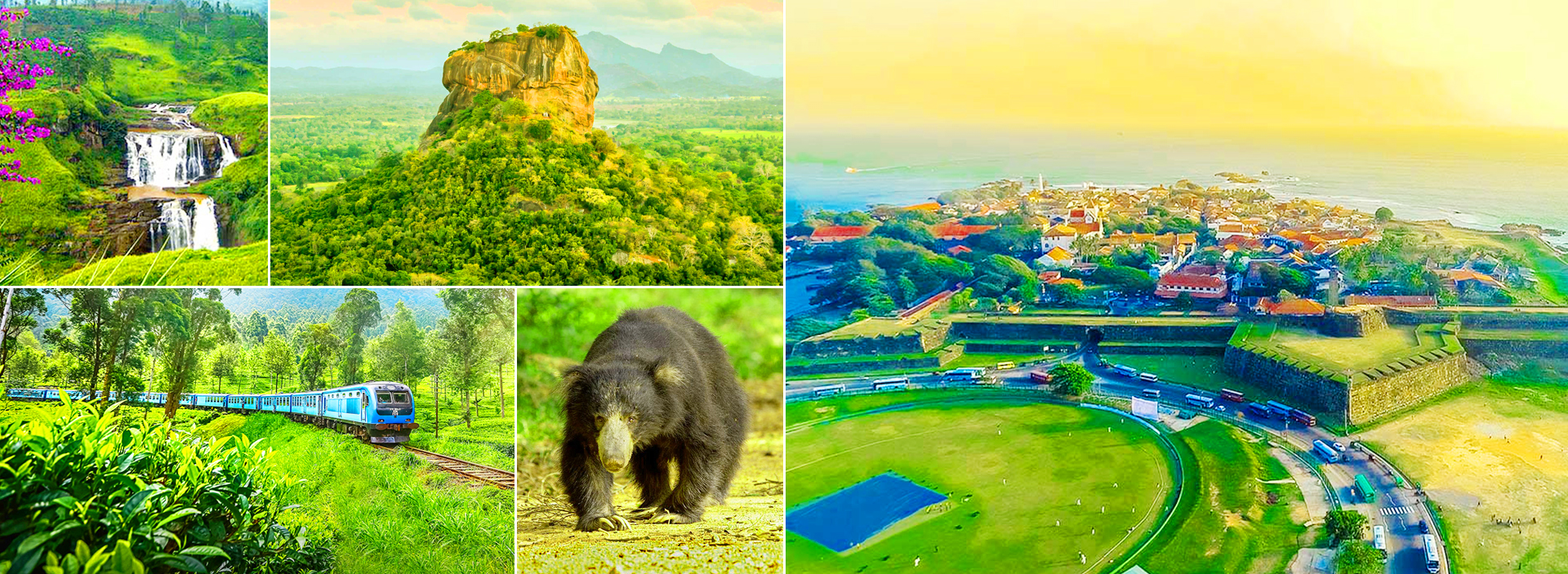 Shore Excursion Tours in Sri Lanka